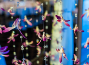 details for planning yacht parties